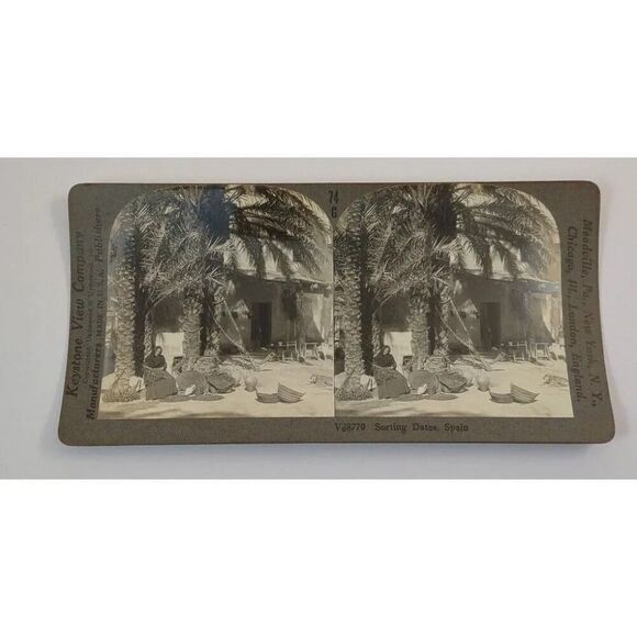Lady Sorting Dates in Spain Keystone Stereoview - Picture 1 of 8